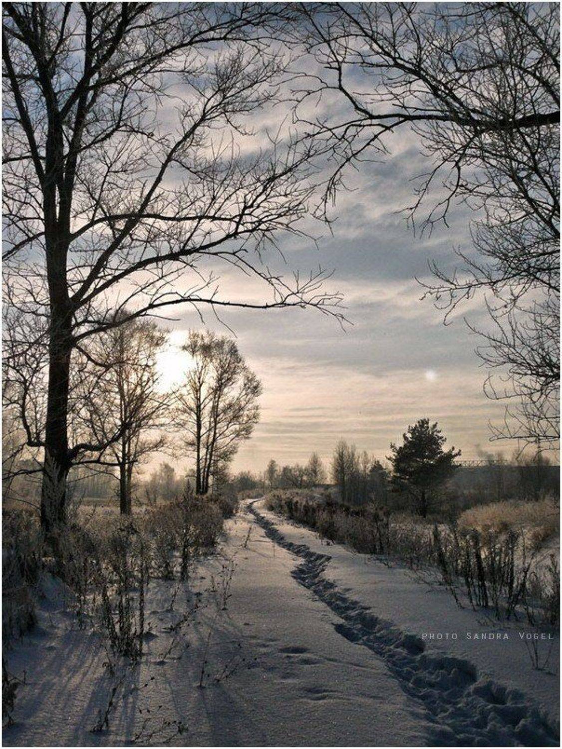 зима, снег, мороз, тверь, dark-angel