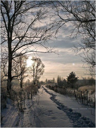 К снежному закату