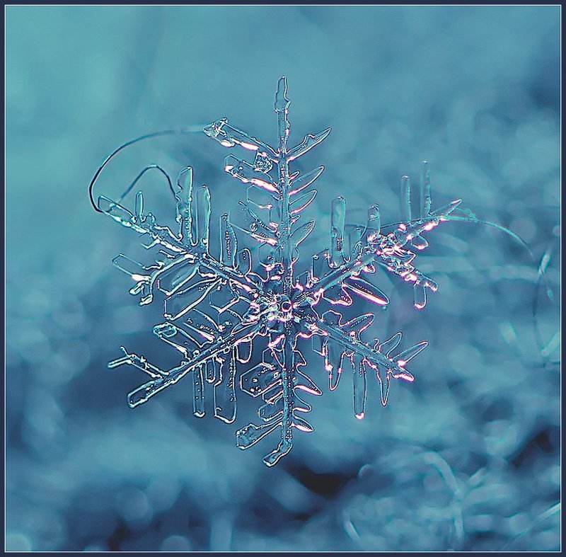 снежинка,макро, Снежинка. фото превью