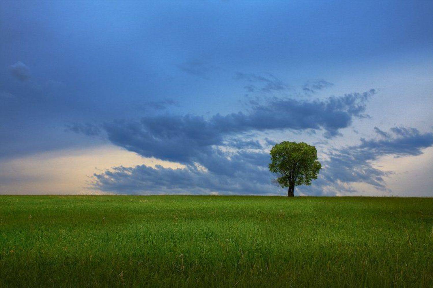 башкортостан,  canon 40d, sigma af 70-300 mm f/4-5.6 apo dg macro, Дмитрий Шмелёв