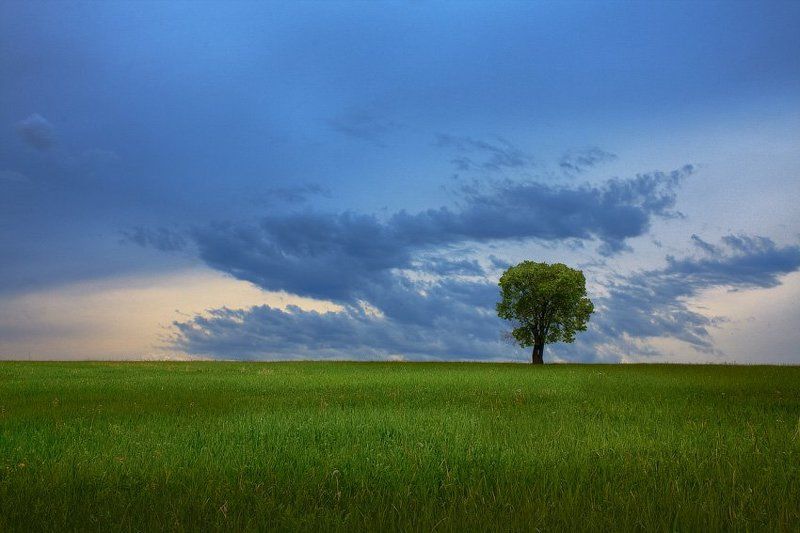башкортостан,  canon 40d, sigma af 70-300 mm f/4-5.6 apo dg macro  фото превью