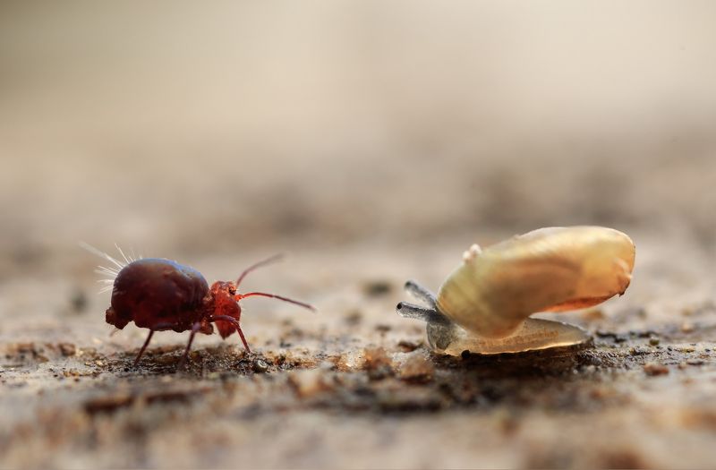 Это кто козёл? Это я козёл? фото превью