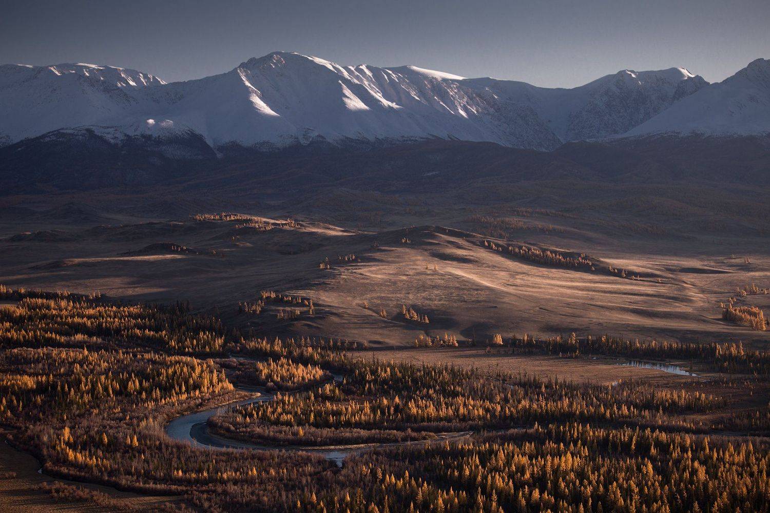 горный алтай, чуя, курай, северо-чуйский хребет, горы, лиственницы, осень, октябрь, Виктор Зайцев