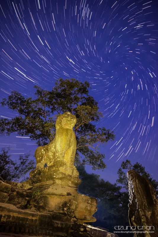 Angkor\'s Lion Stone фото превью