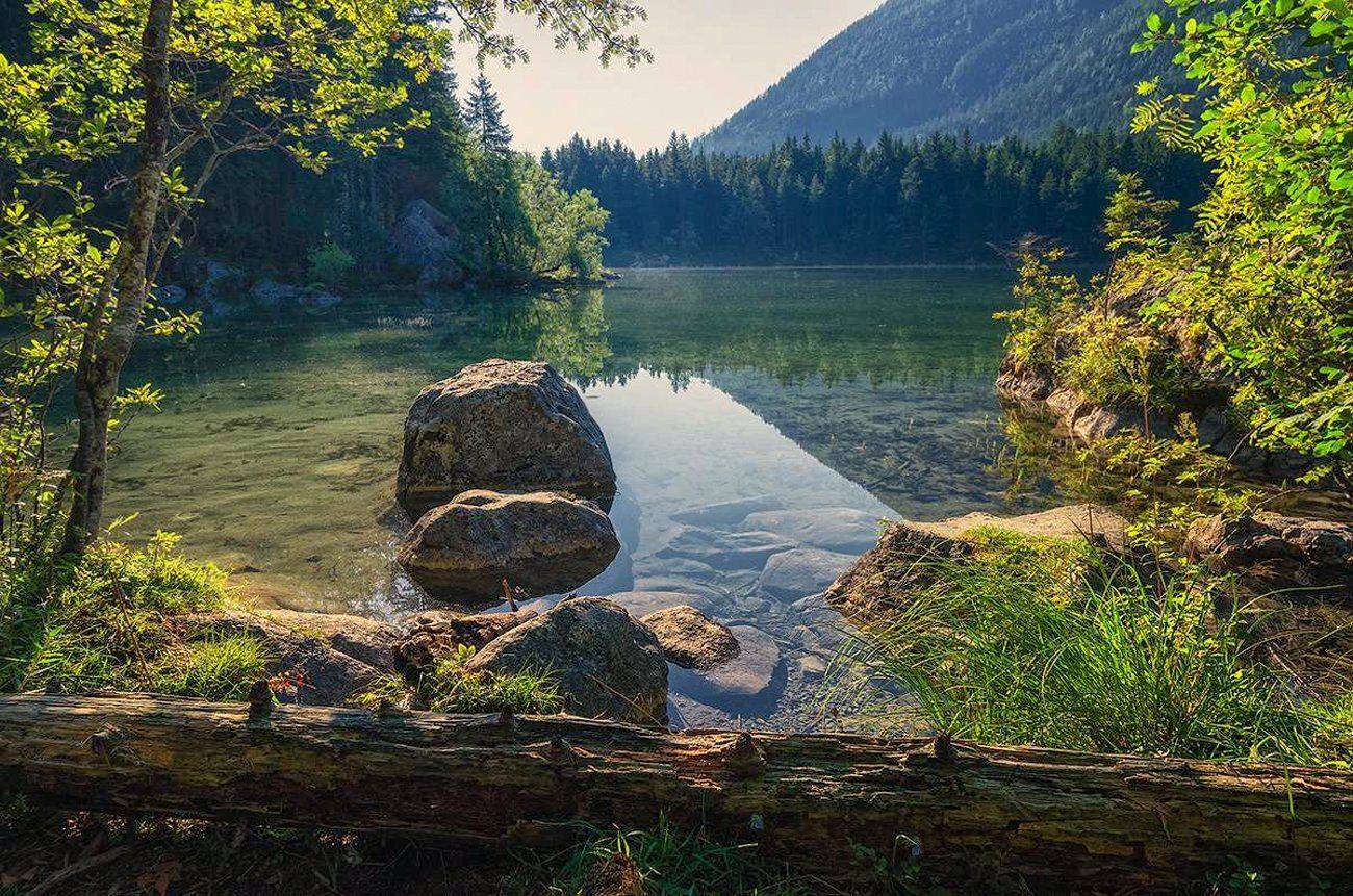 , Игорь Мелекесцев