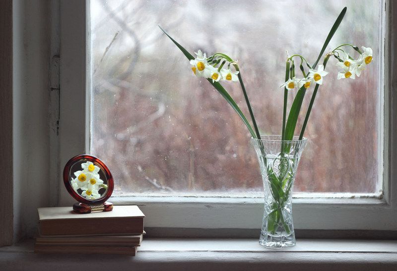 Январь нарциссы Январь в Ялте фото превью