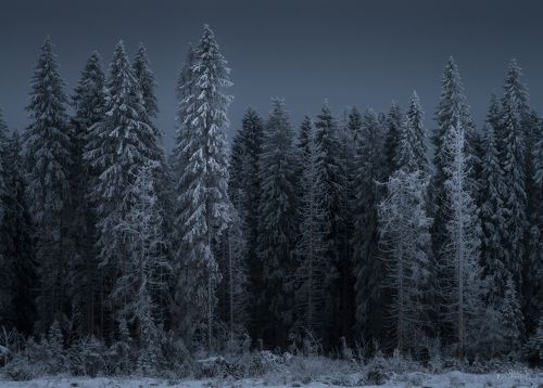 Пришельцы и Стражники