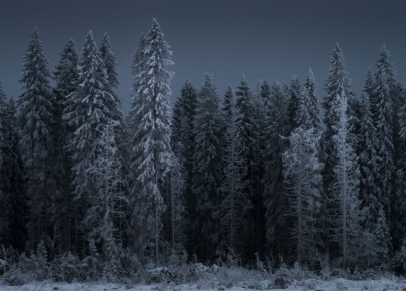 Пришельцы и Стражники фото превью