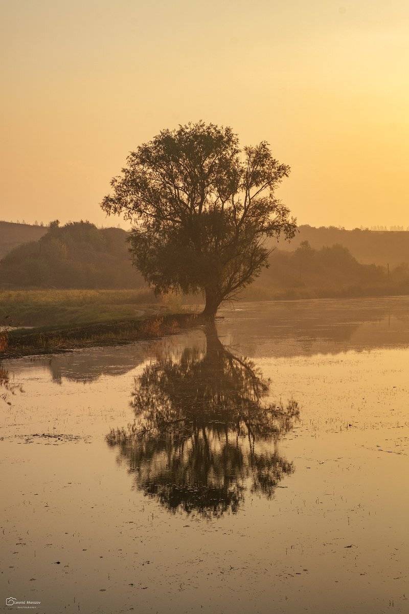 snow., , mountain, ., glacier.evergreen, ., snowfall., , ridge, ., snowy., , slope, ., mountain., , peak., , mountain., , range., , snowcapped., , mt, foraker., Леонид Морозов