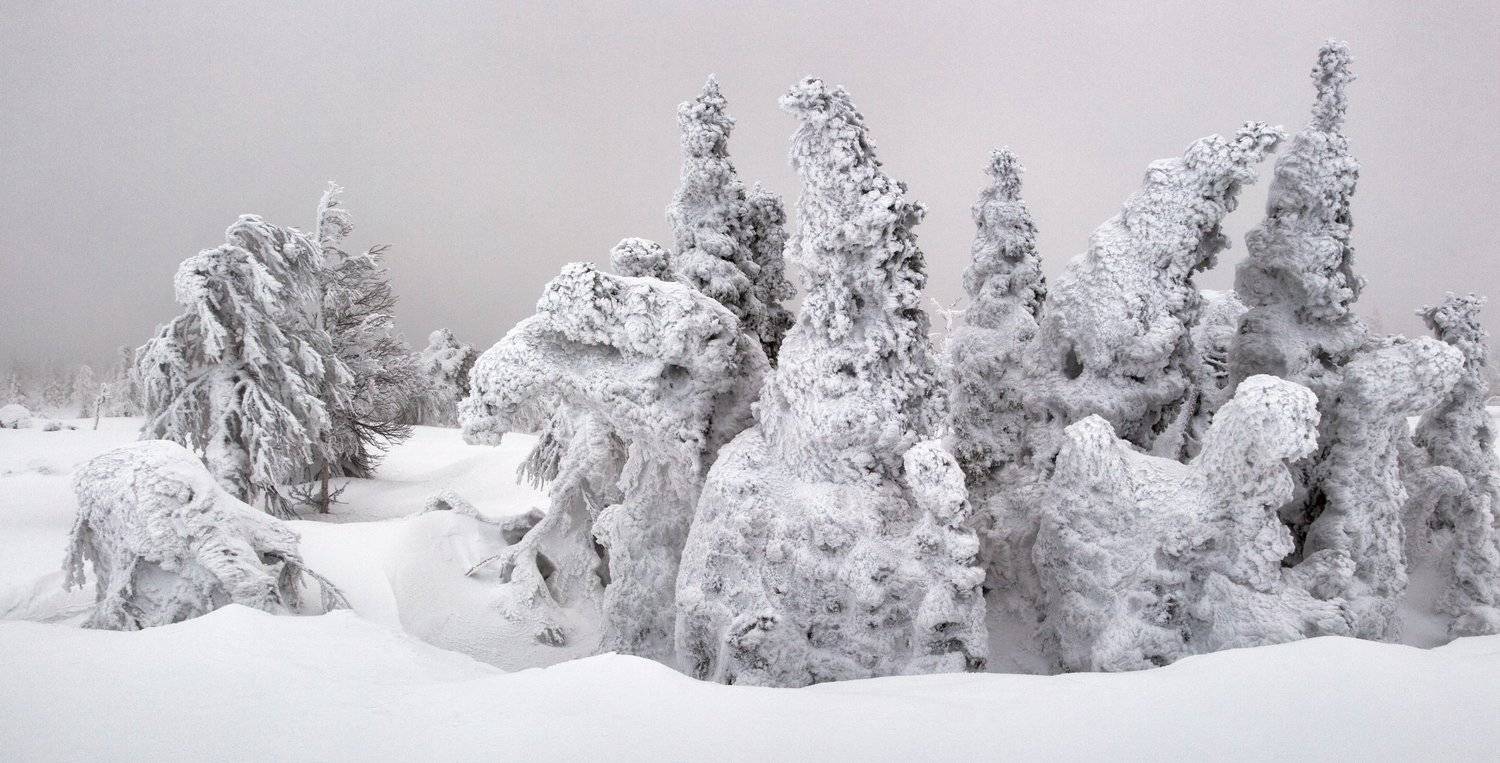 зима, снег, деревья, фактура, горы, урал, мороз, путешествия, снежные фигуры, антон селезнев, Антон Селезнев