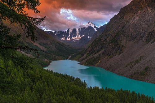 Нижнее Шавлинское