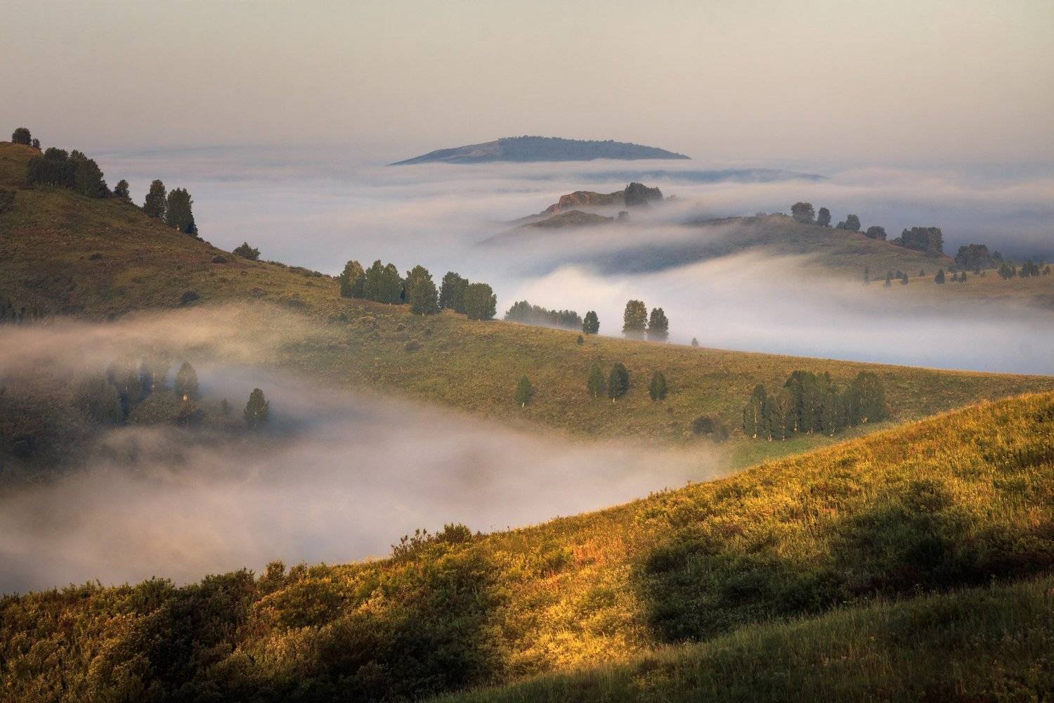 алтай, горы, природа, пейзаж, туман, утро, тигирек, заповедник, Денис Соломахин