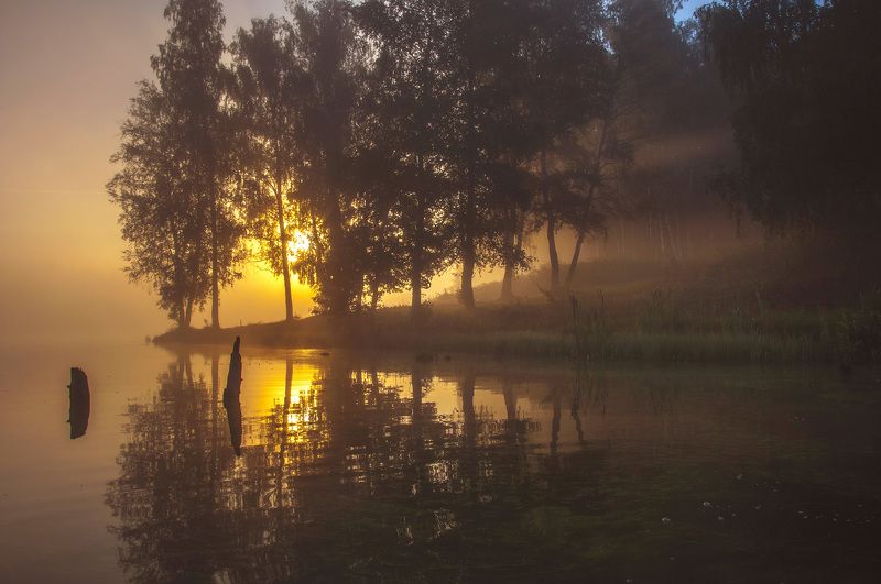 Золотистый восход фото превью