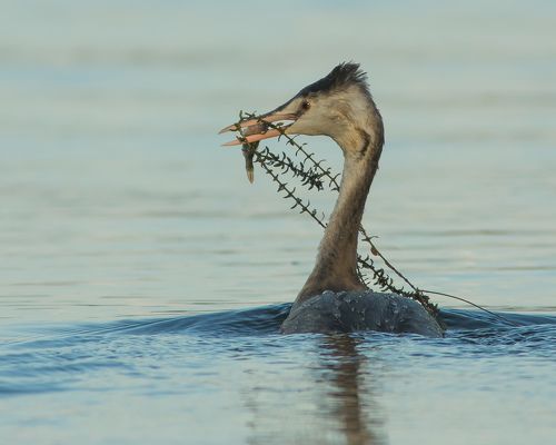 Юный рыболов