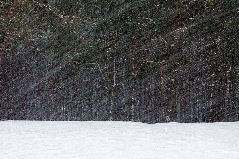 МЕТЕЛЬ фото превью