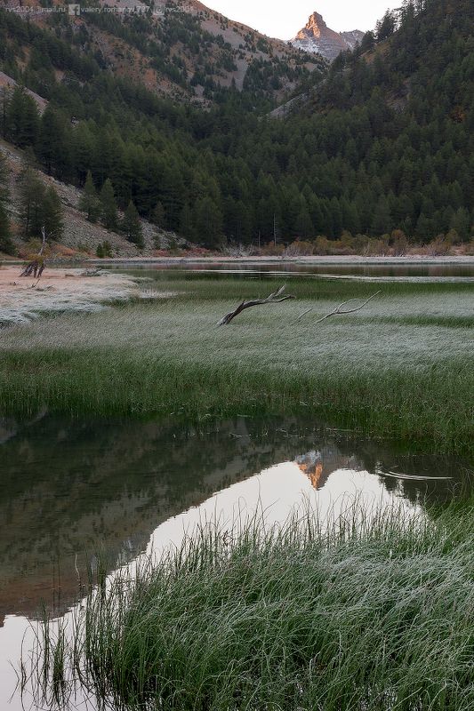 озеро, деревня, пруд, пышный, листва, идиллия, лес, трава, луг, дерево, пейзаж, небо, вода, зеленый, синий, облака, Франция, Жозье, Сань, отражение, горы, утро, закат, Восход Morning at Lac des Sagnes  - Утро на озере Сань фото превью