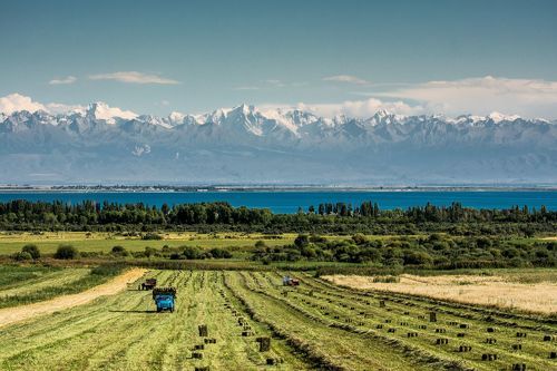 Уборка Урожая