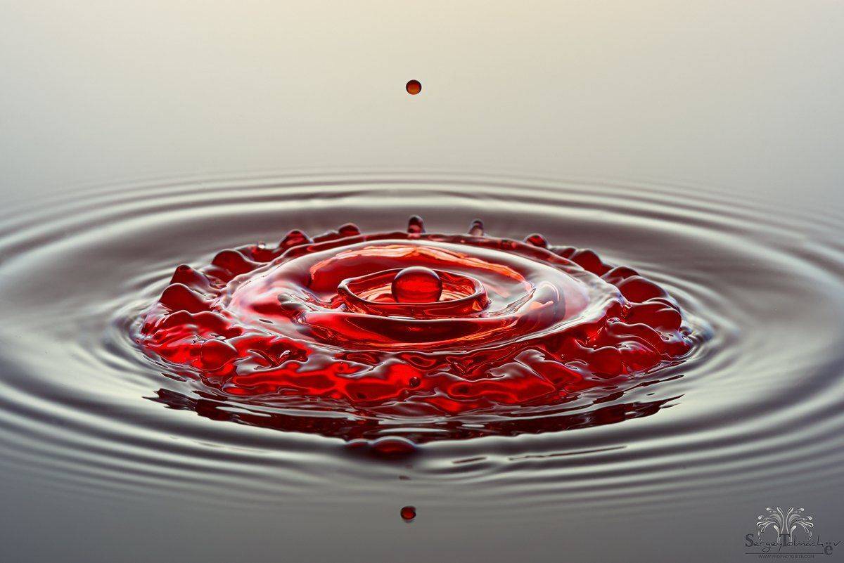 вода, капли, жидкость, макро,, Сергей Толмачев