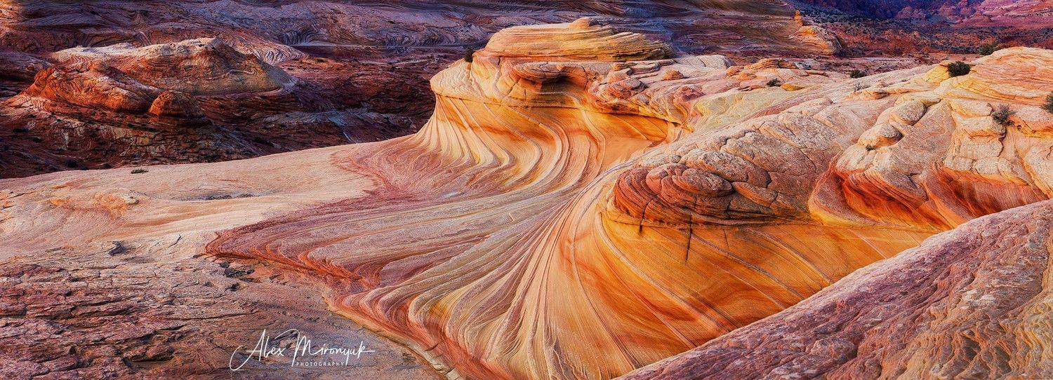 Волна, Аризона, США, юго-запад, пустыня, песчаник, дюна, путешествие, Alex Mironyuk