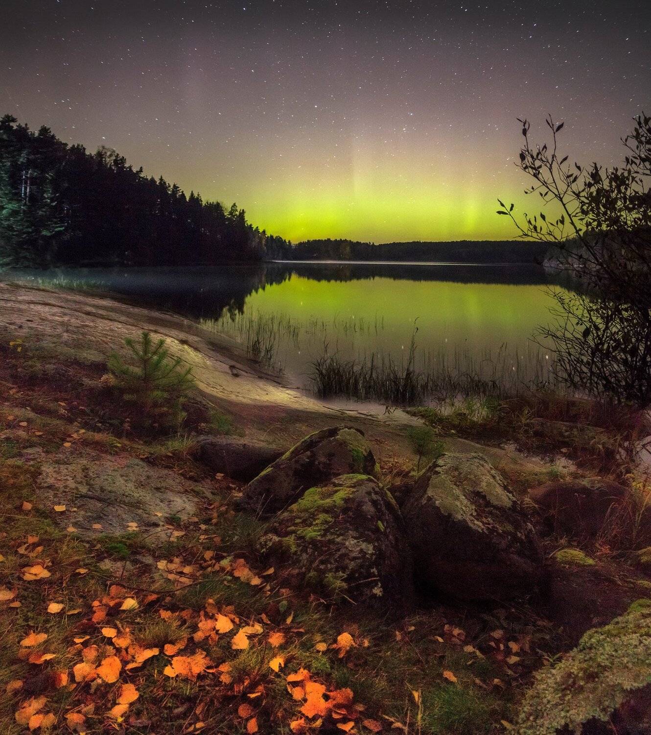 аврора, севернео сияние, ладожское оезро, ладога, карелия, Павел Ващенков