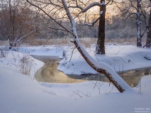 Морозное зимнее утро