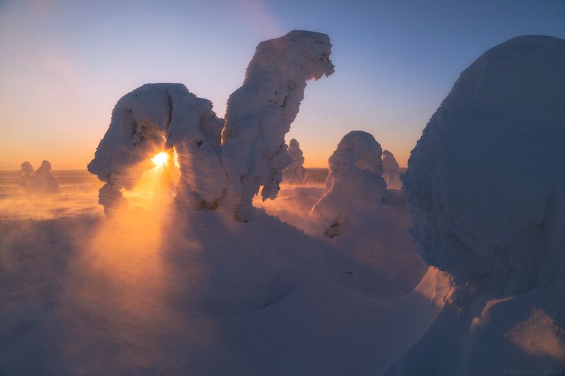 Белое безмолвие фото превью