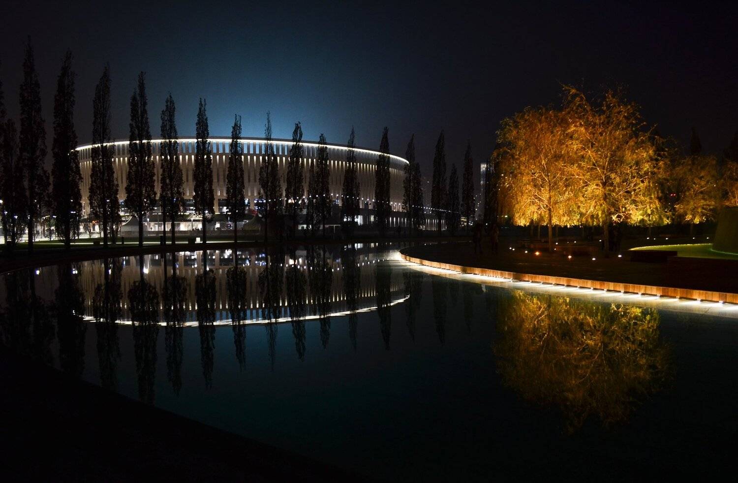 ночь, отражение, Елена Шевченко