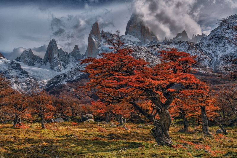 Пасмурный день. Патагония. фото превью