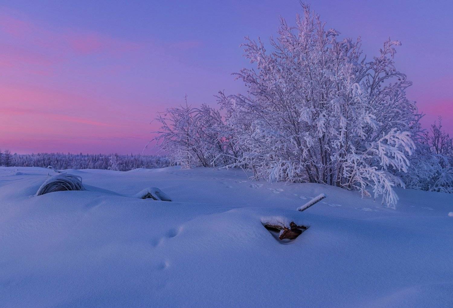 ямал , зима , природа, салехард , январь,  ямал ,север, Настя Братка