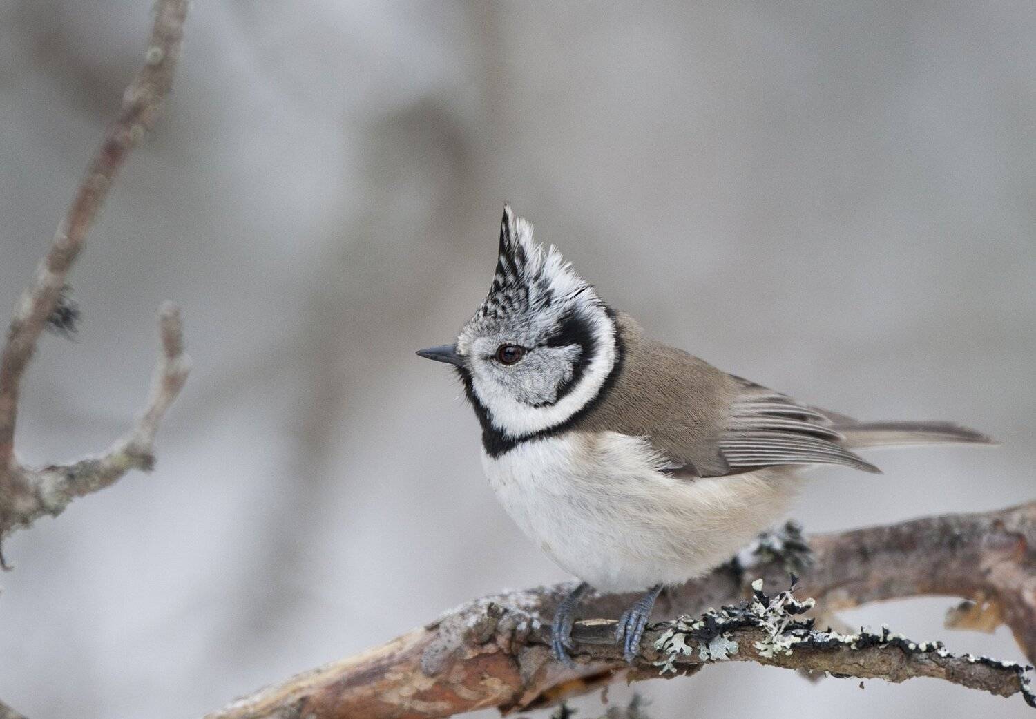 , Юрий Кулаков