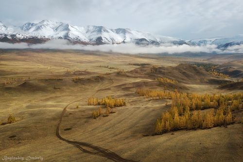 Курайская степь и Южно-Чуйский хребет. 