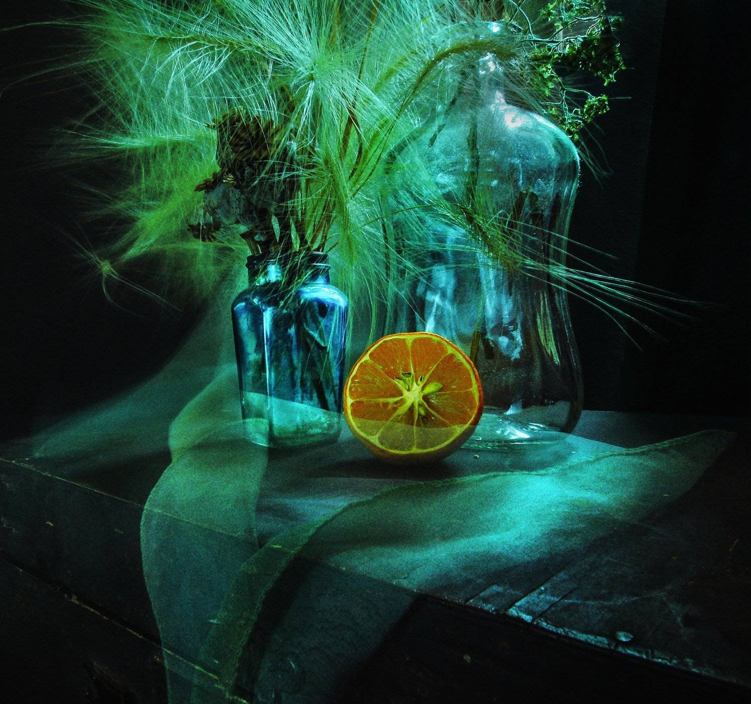 , Харитонова Елена