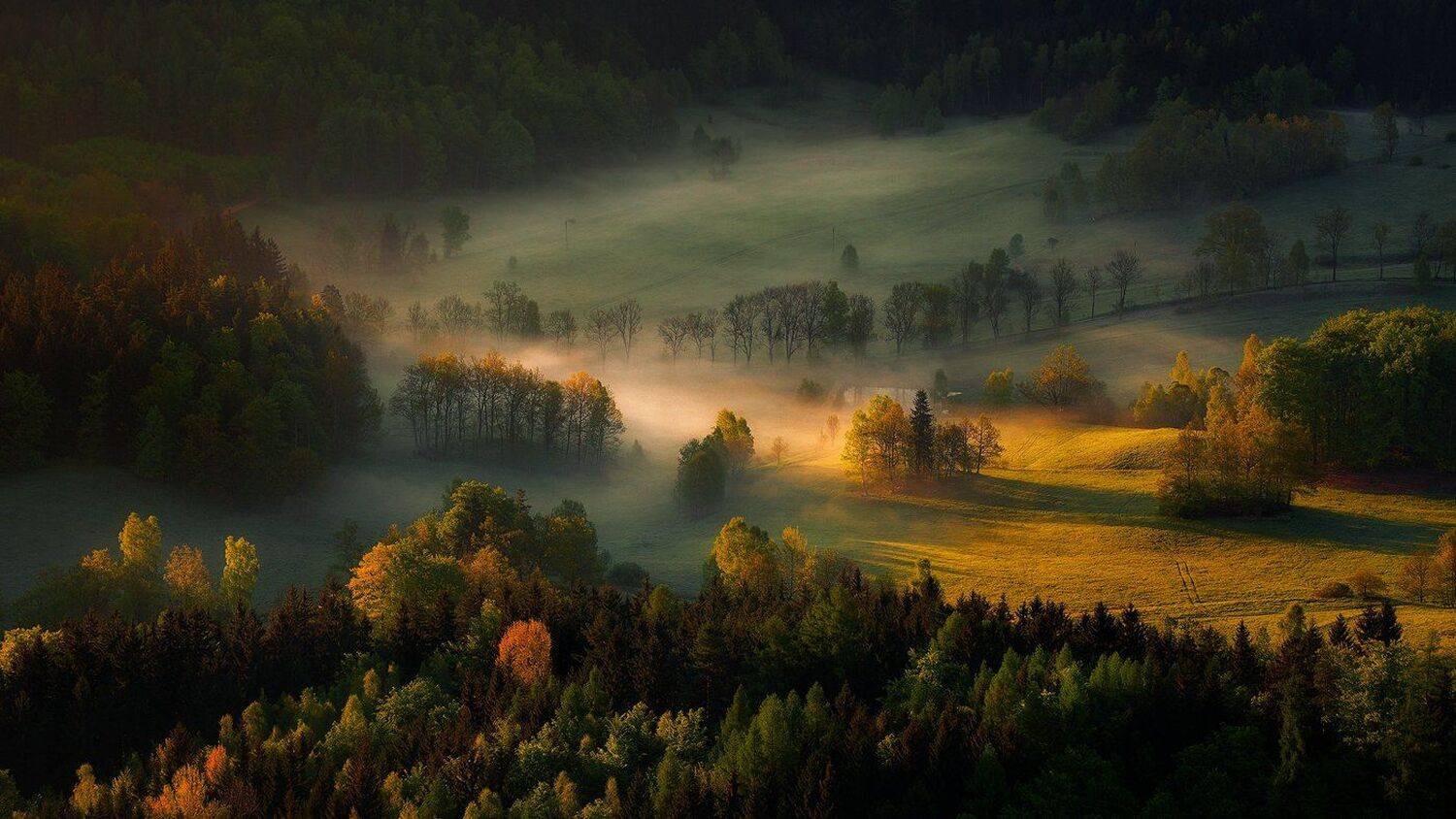landscape,canon,mist,light,autumn, Iza i Darek Mitręga