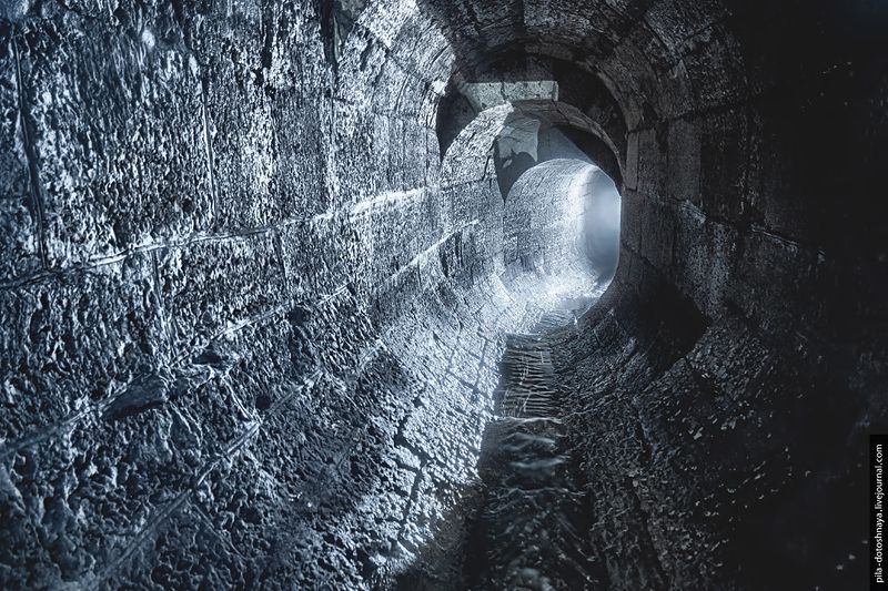 Черногрязка фото превью