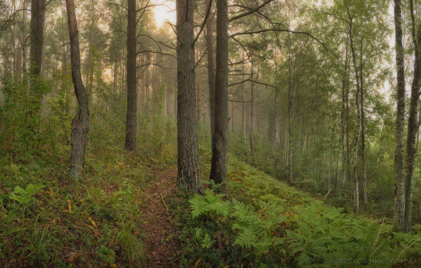 , Хохряков Николай