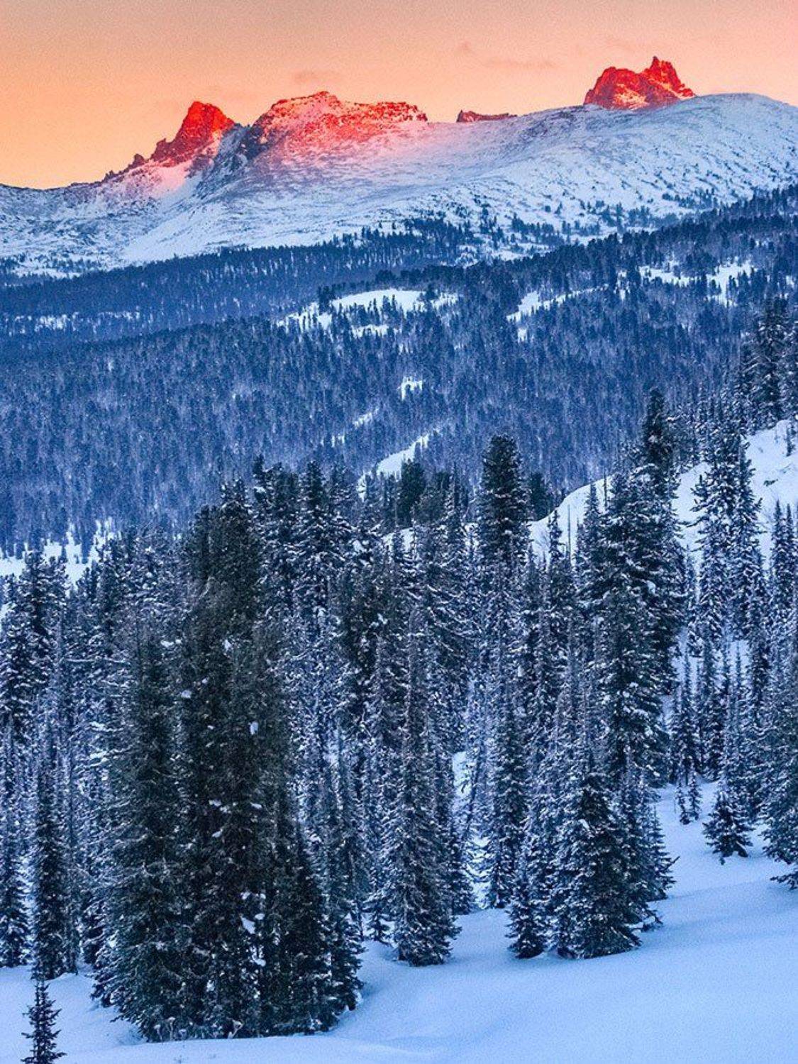 , Владимир Сковородников