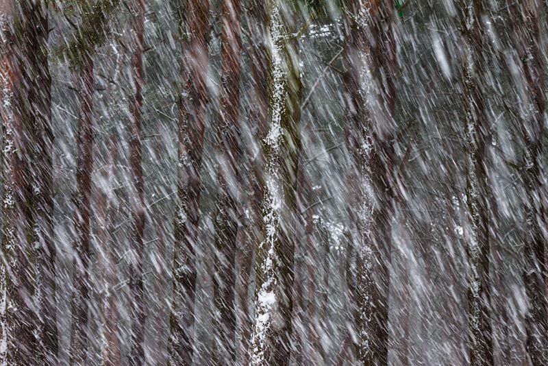 А СНЕГ ИДЁТ фото превью