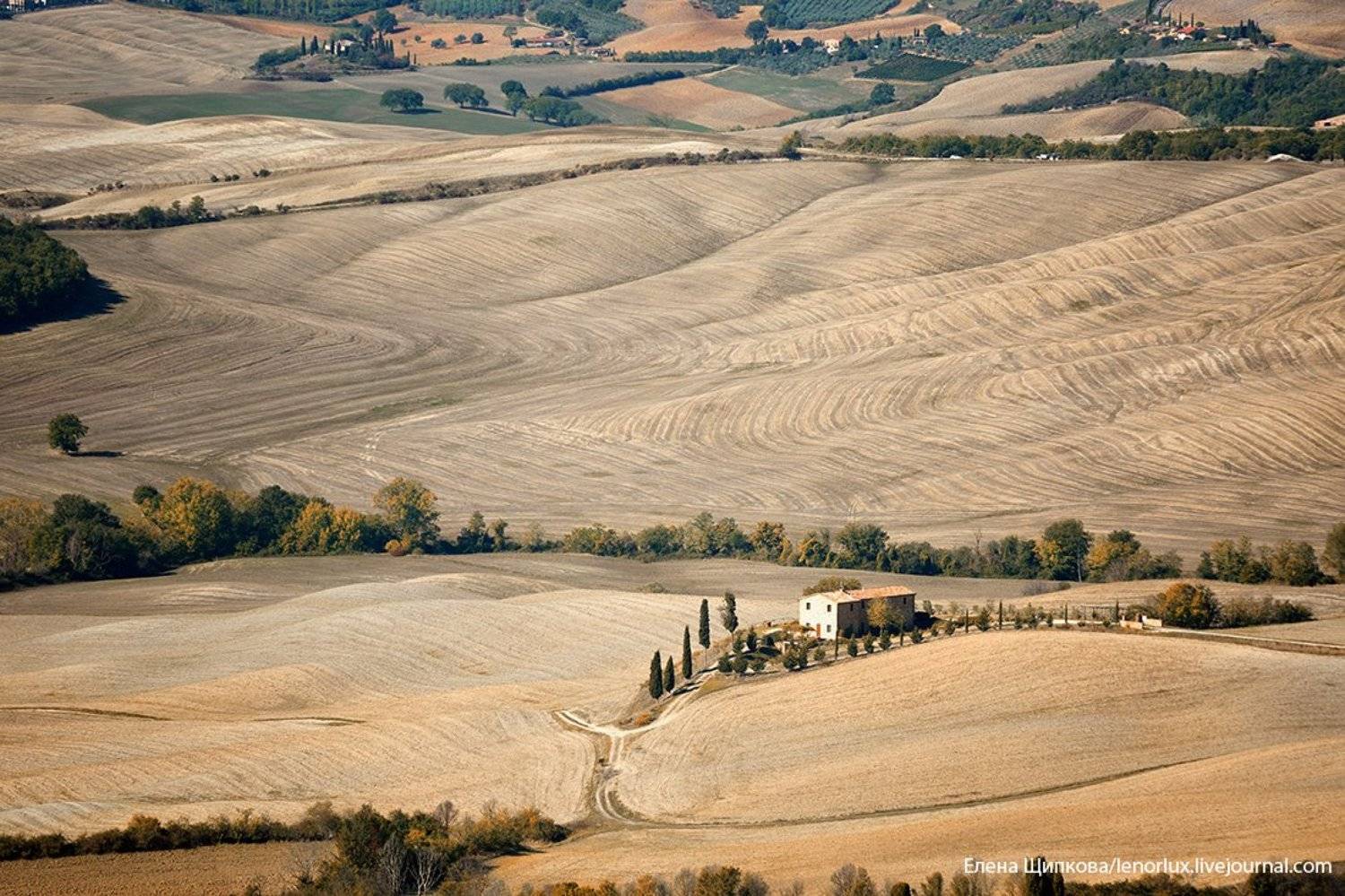 , Щипкова Елена