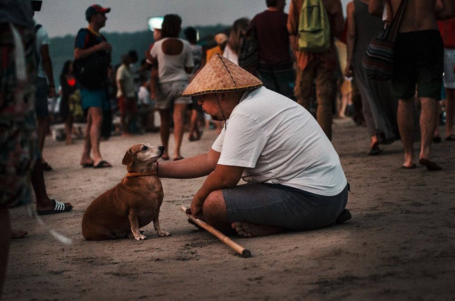 собака друг человека, родственные души, собака и человек, Аверина Елена