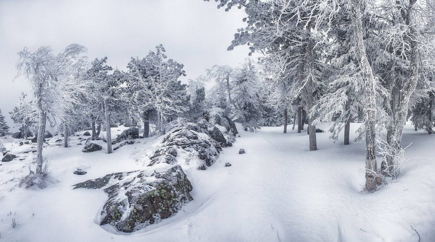 урал, Владимир Липецких