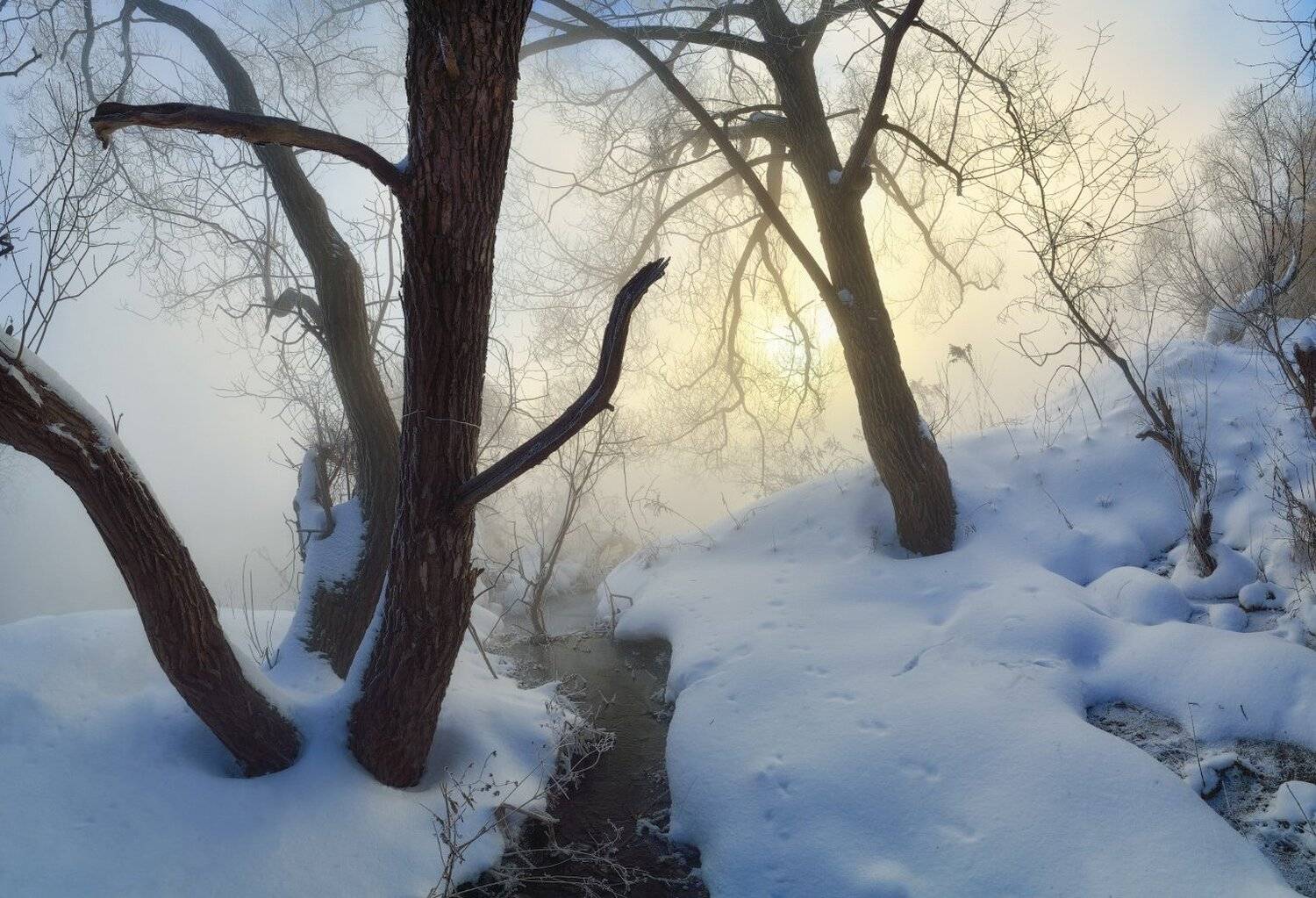 , Сергей Кочергин