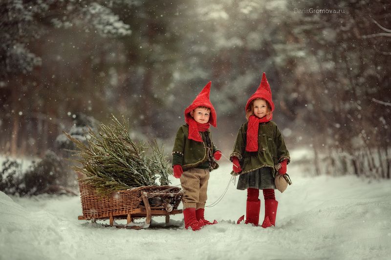 портрет, дарья громова, фотография, фото, фотоарт, фотограф, закат, детский портрет, дети, ребенок, сестры, малыш, девочка, мальчик, детская, фотосессия, фотосъемка, гномы, сани, санки, зима, новый год Елочка для гномов фото превью