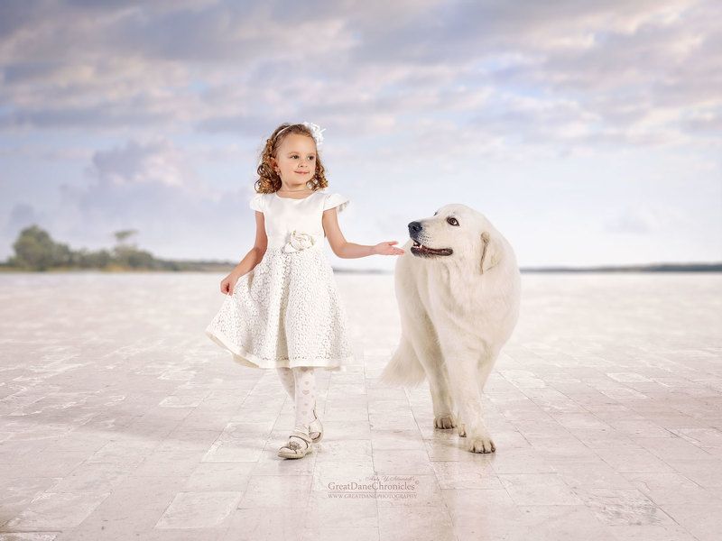 Две Белоснежки фото превью