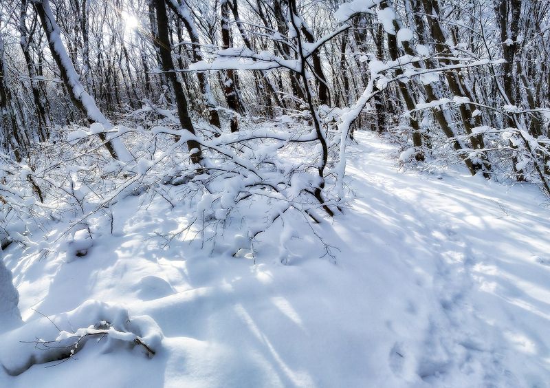 панорамки, камера телефона nokia x2 , cs 5 Зимние бродилки-1 фото превью