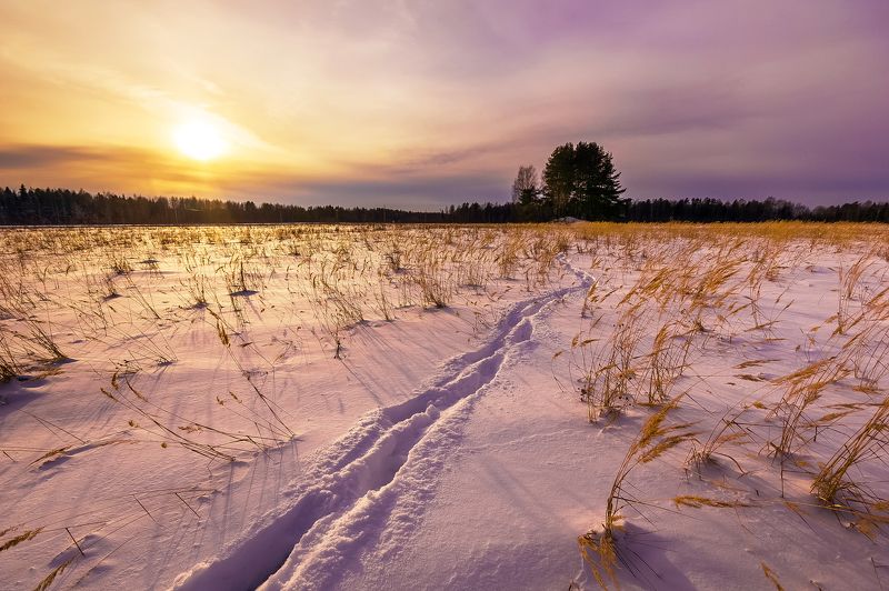 зима, вечер, поля, поле, лес, снег, закат, небо, солнце Зимний вечер фото превью