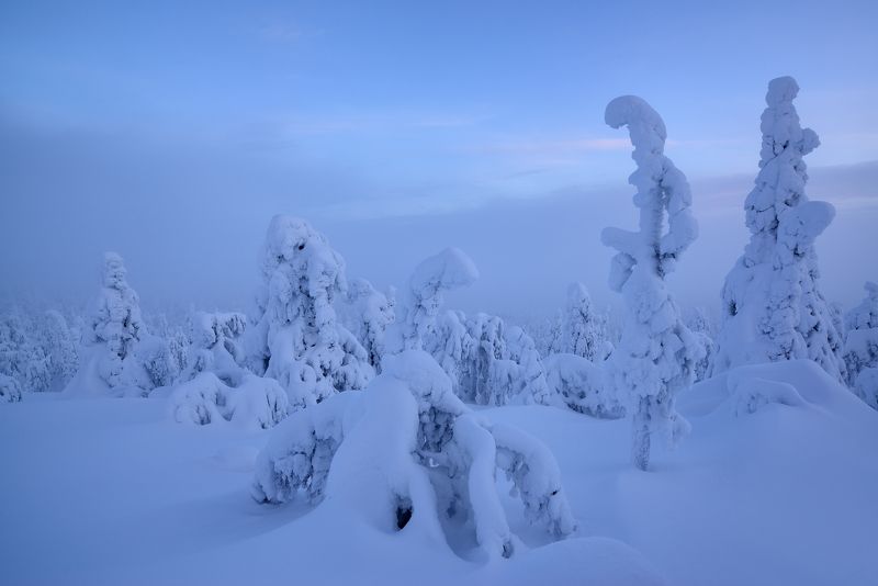 Лапландия фото превью