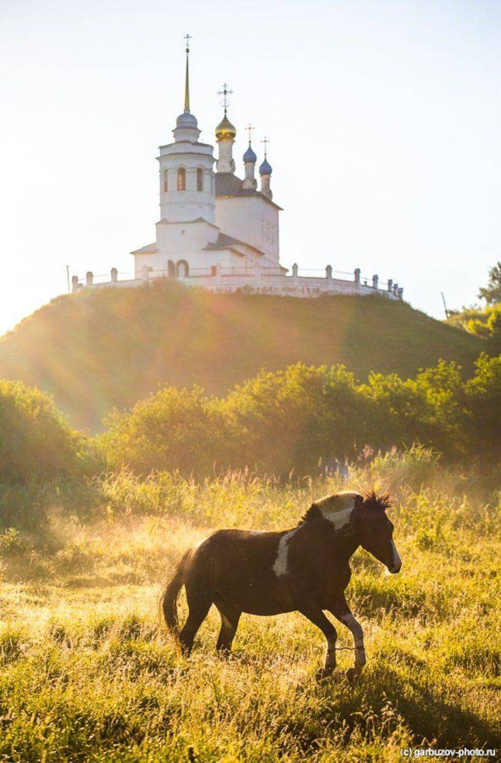 , Гарбузов Илья