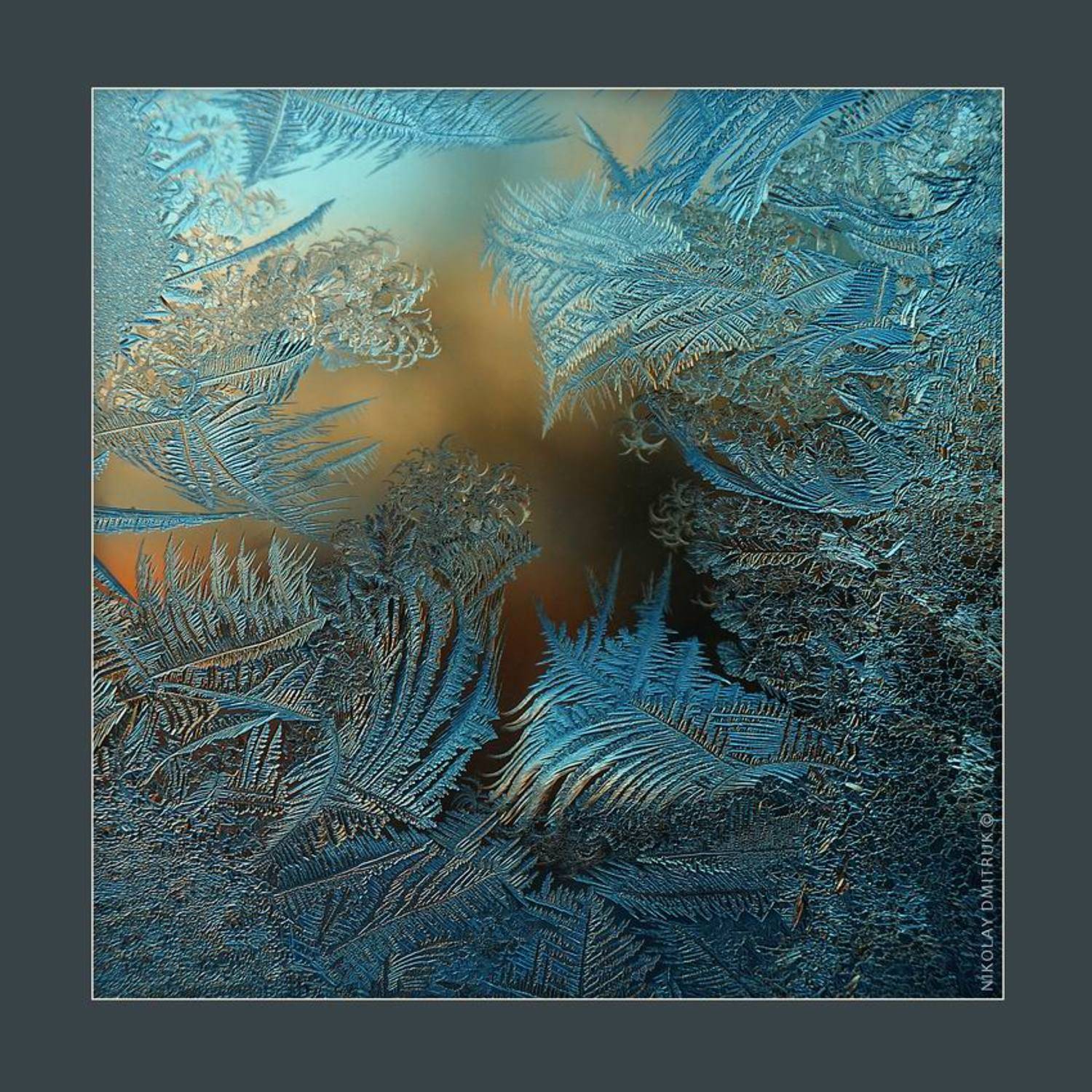 абстракция, мороз, музыка, николай дмитрук