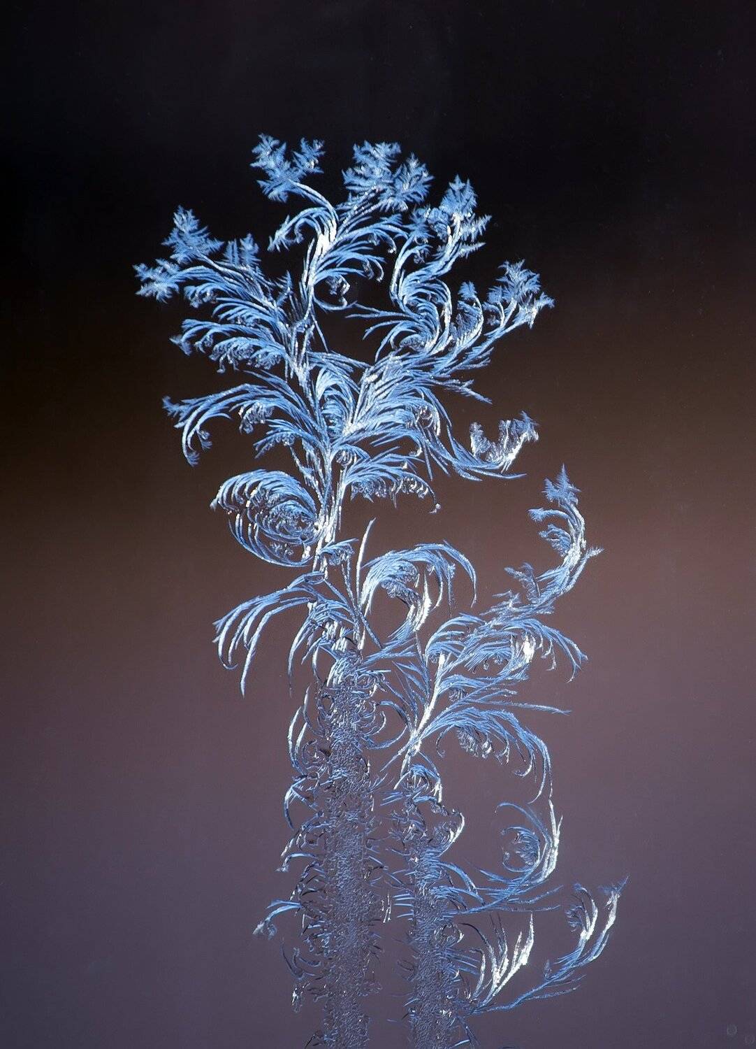 , Павел Сагайдак