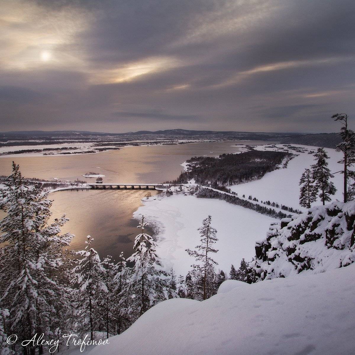 , Алексей Трофимов